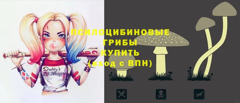 Галлюциногенные грибы Cubensis  Слюдянка 